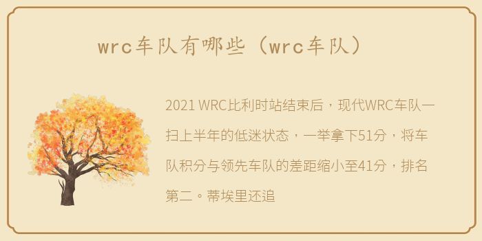 wrc车队有哪些（wrc车队）