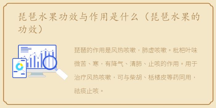 琵琶水果功效与作用是什么（琵琶水果的功效）