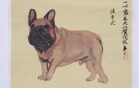 法斗犬有多少年历史？（法斗犬）