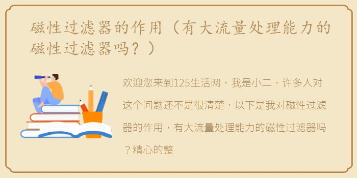 磁性过滤器的作用（有大流量处理能力的磁性过滤器吗？）