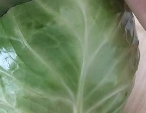 手撕包菜是过油还是焯水今天教你正确做法,比吃肉还解馋