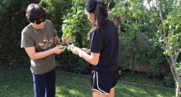 郎平在美国的豪宅叫什么（郎平在美国的豪宅）