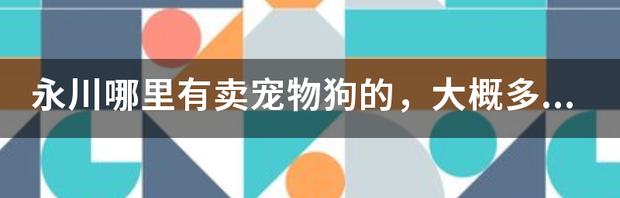 宠物狗价格,宠物狗多少钱一只（宠物狗多少钱一只）