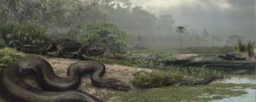 世界上最大的蛇是什么蛇（世界上最大的蛇）