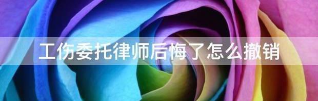 辞职做律师有后悔的么？（35岁做律师后悔死了）