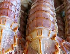 皮皮虾应该蒸着吃还是煮着吃教你正确做法,原汁原味格外的鲜美