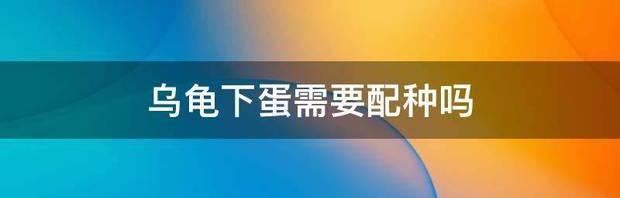 卡通乌龟能养多久？（你养龟三年龟养你十年）
