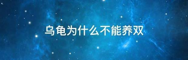 乌龟运输使用青苔要不要弄湿？ 乌龟养双必死