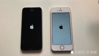 明星拍戏的时候会假戏真做吗？（ios10.3.2）