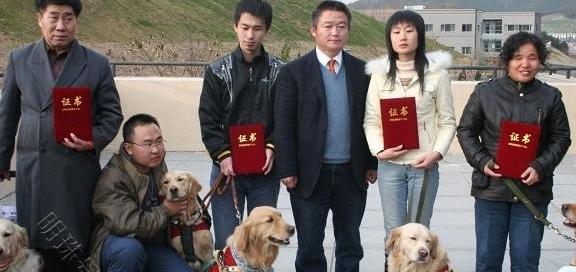 金毛寻回犬图片头像（金毛寻回犬图片）