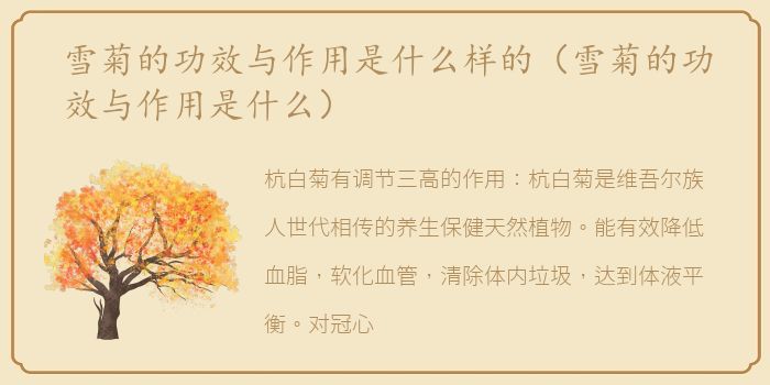 雪菊的功效与作用是什么样的（雪菊的功效与作用是什么）