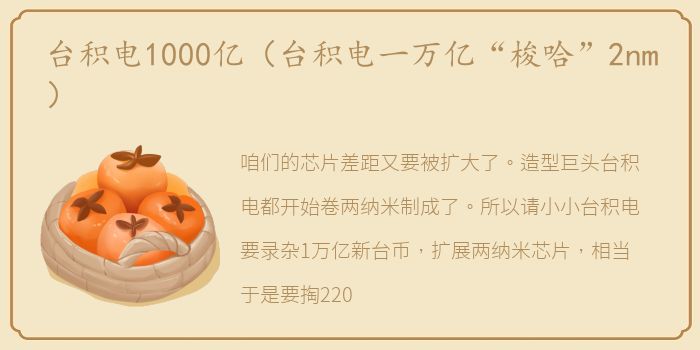 台积电1000亿（台积电一万亿“梭哈”2nm）