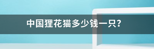 中国狸花猫多少钱一只？（狸花猫多少钱一只）