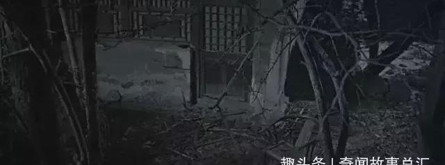 门罗出体法（门罗出体）