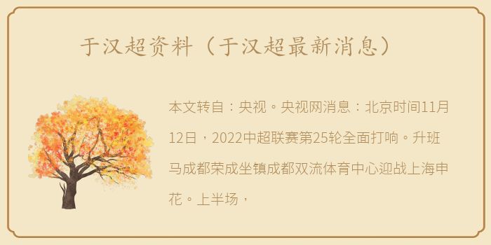 于汉超资料（于汉超最新消息）