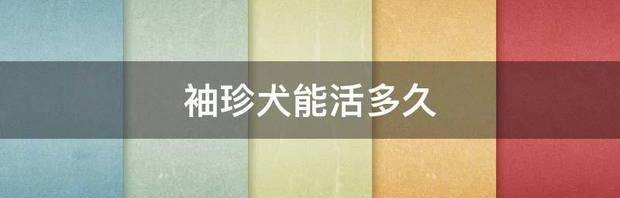 西藏袖珍犬有多大？（袖珍犬）