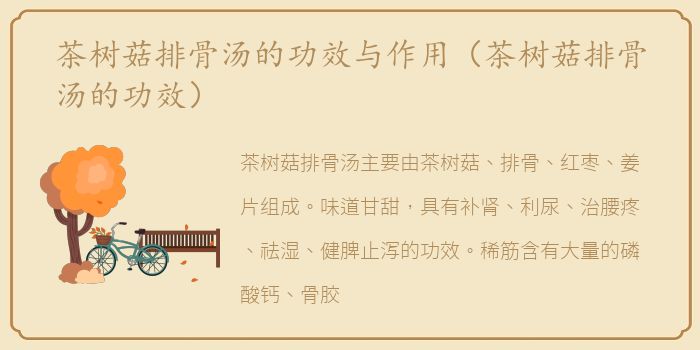 茶树菇排骨汤的功效与作用（茶树菇排骨汤的功效）