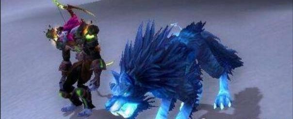 魔兽世界猎人所有灵魂兽（魔兽世界lr灵魂兽）