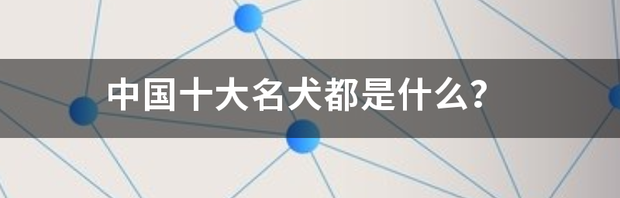 中国十大恶犬排名？（中国十大名犬）