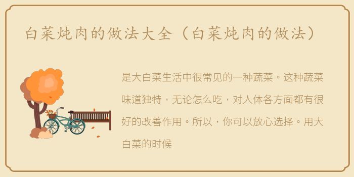 白菜炖肉的做法大全（白菜炖肉的做法）