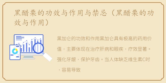 黑醋栗的功效与作用与禁忌（黑醋栗的功效与作用）