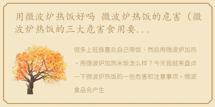 用微波炉热饭好吗 微波炉热饭的危害（微波炉热饭的三大危害食用要小心！）