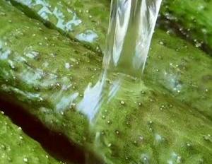 怎样酱黄瓜又脆又好吃（清脆爽口的酱黄瓜,好香啊）