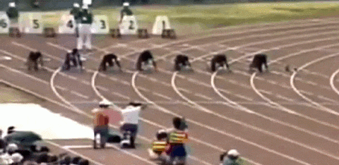 格里菲斯乔伊娜（乔伊娜）