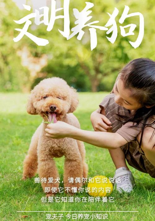 与狗接触十大禁忌？（新手养狗五大忌）