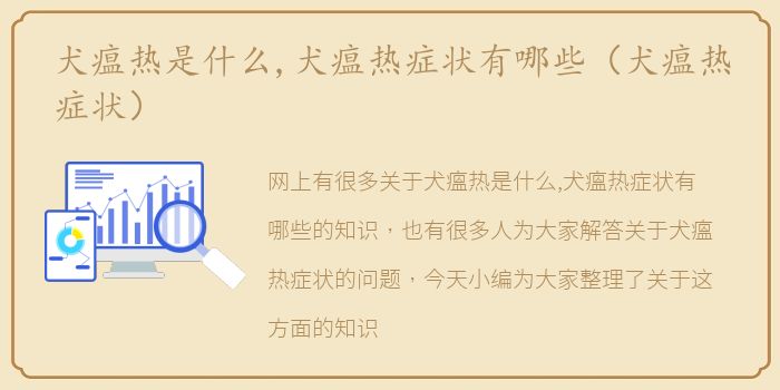 犬瘟热是什么,犬瘟热症状有哪些（犬瘟热症状）