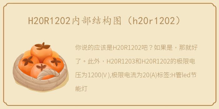 H20R1202内部结构图（h20r1202）