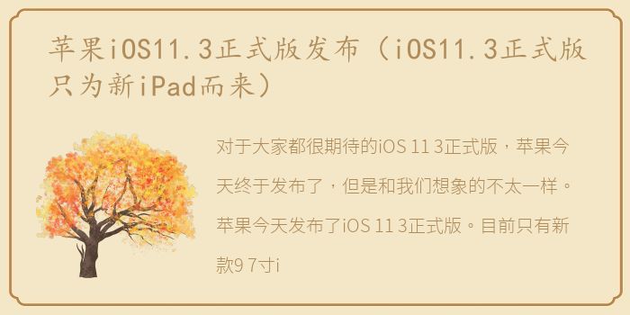 苹果iOS11.3正式版发布（iOS11.3正式版只为新iPad而来）