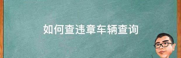 如何查违章车辆查询 在线查违章车辆查询