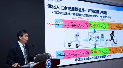 支链淀粉遇碘显红色还是紫色？谢谢 支链淀粉遇碘