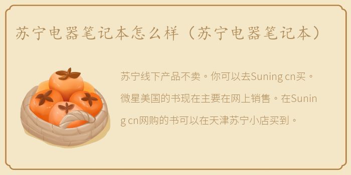 苏宁电器笔记本怎么样（苏宁电器笔记本）