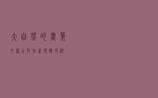 大自然的画笔 内蒙古阿拉善现双色湖