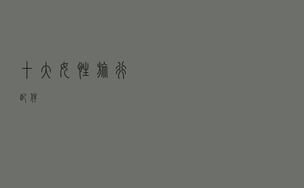 十大女性旅行配件