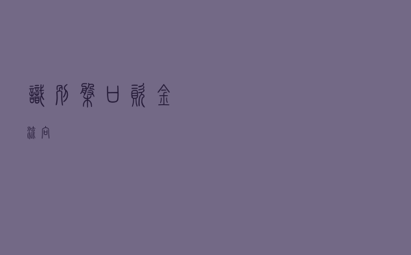 识别盘口资金流向
