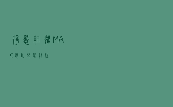 静态组播MAC地址配置教程