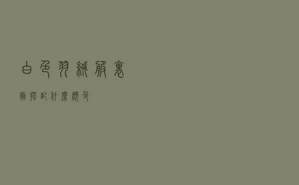 白色羽绒服里面搭配什么颜色