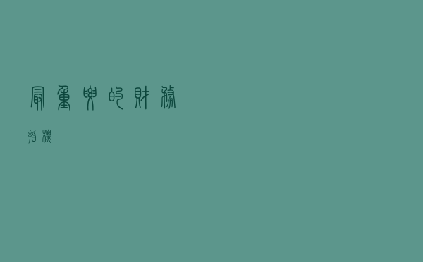 最重要的财务指标