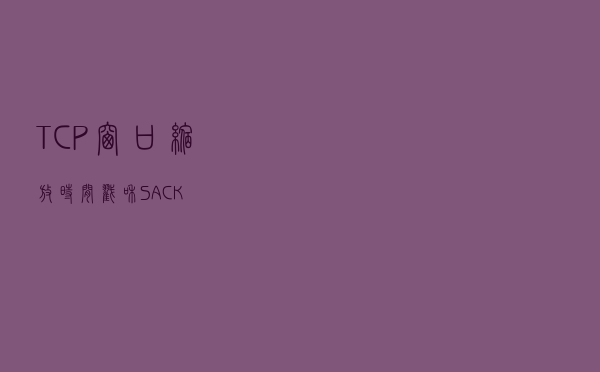 TCP 窗口缩放、时间戳和 SACK
