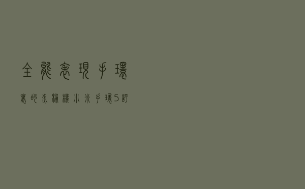 全能表现，手环里的“水桶机”小米手环5评测