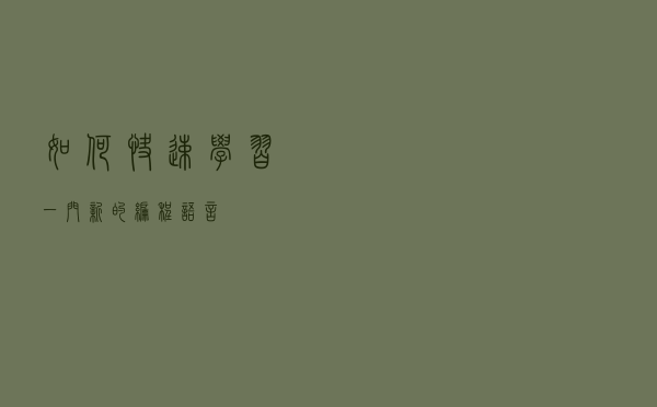 如何快速学习一门新的编程语言？