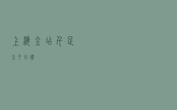 上海金店千足金今日价