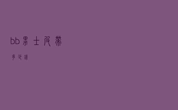 bb男士皮带多少钱