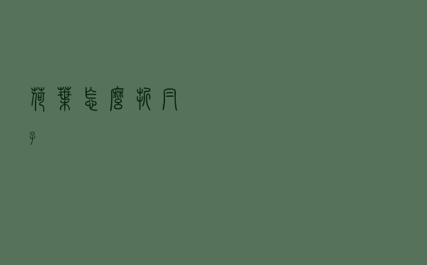 荷叶怎么折帽子