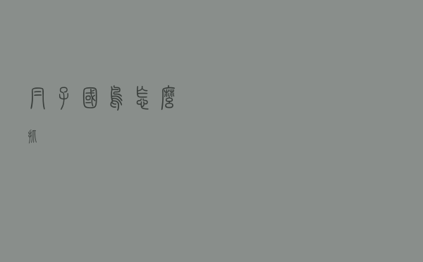 帽子国鸟怎么抓