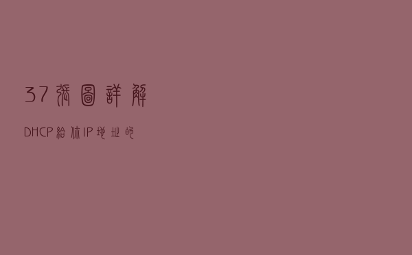 37 张图详解 DHCP：给你 IP 地址的隐形人