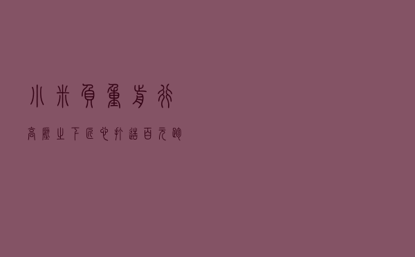 小米负重前行！高压之下匠心打造百元跑鞋，米粉：yeezy压箱底了